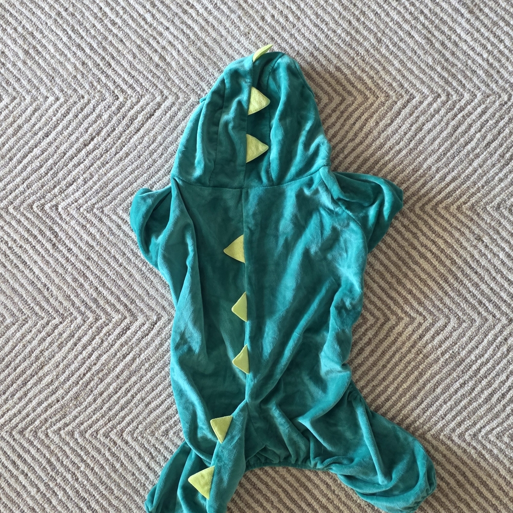 Green Dinosaur Costume for Kids